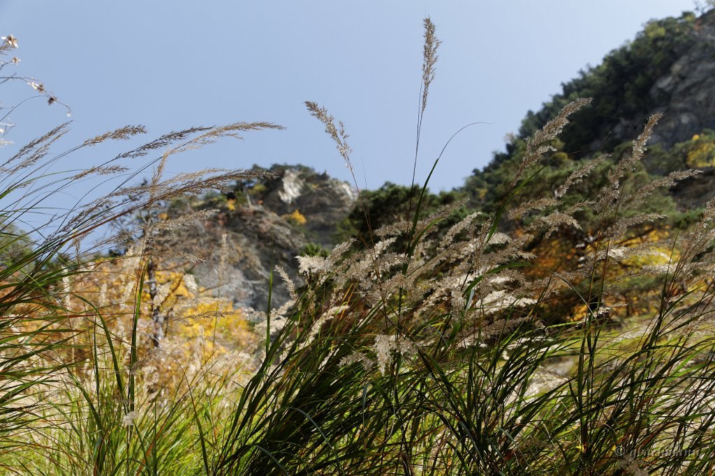 20101009_151